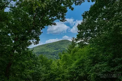 100 Ravens View, Boone, NC 28607 - Photo 14