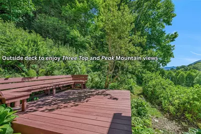 803 W Brushy Fork Road, Creston, NC 28615 - Photo 32