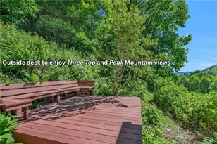 803 W Brushy Fork Rd, Creston, NC 28615 - Photo 26