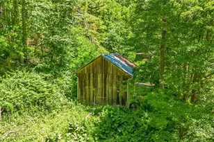 803 W Brushy Fork Rd, Creston, NC 28615 - Photo 40