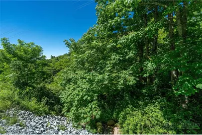 455 Shawnee Road, Banner Elk, NC 28604 - Photo 38