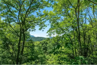 455 Shawnee Road, Banner Elk, NC 28604 - Photo 36