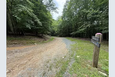 139 Red Fox Lane, Beech Mountain, NC 28604 - Photo 4