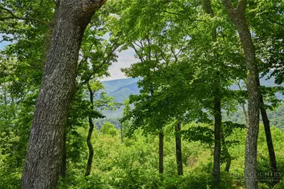 Lot 11 Mountain Laurel Parkway, Newland, NC 28604 - Photo 2