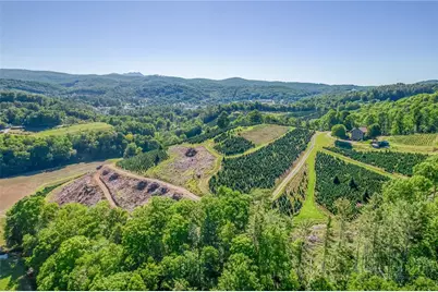 473 Cow Camp Road, Newland, NC 28657 - Photo 48