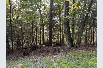 Lot 21 Boxwood, Boone, NC 28607 - Photo 2
