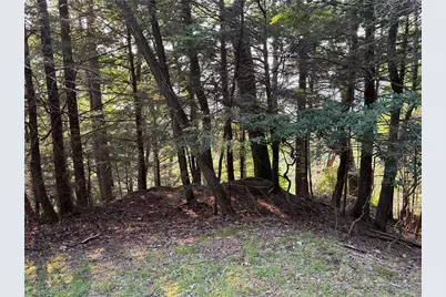 Lot 21 Boxwood, Boone, NC 28607 - Photo 6