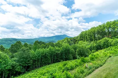 155 Falcon Trace #C321, Boone, NC 28607 - Photo 16
