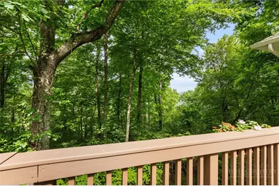 581 New Homestead Drive, Vilas, NC 28692 - Photo 46