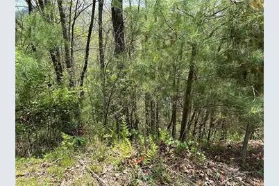 Tbd New River Overlook (Lot 7), West Jefferson, NC 28640 - Photo 10