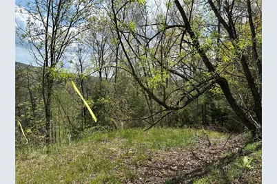 Tbd New River Overlook (Lot 7), West Jefferson, NC 28640 - Photo 8