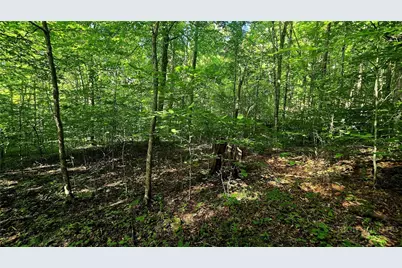 Lot 11 Elk Creek Mountain Prkwy, Todd, NC 28684 - Photo 18