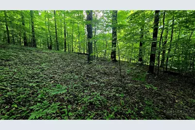 Lot 11 Elk Creek Mountain Prkwy, Todd, NC 28684 - Photo 12