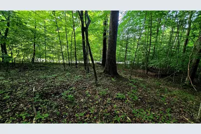 Lot 11 Elk Creek Mountain Prkwy, Todd, NC 28684 - Photo 6