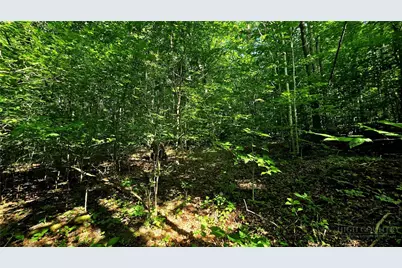 Lot 11 Elk Creek Mountain Prkwy, Todd, NC 28684 - Photo 16