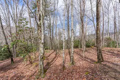 107 Chicory Lane, Beech Mountain, NC 28604 - Photo 2