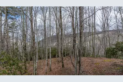 107 Chicory Lane, Beech Mountain, NC 28604 - Photo 16