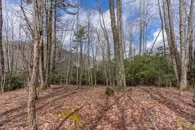 107 Chicory Lane, Beech Mountain, NC 28604 - Photo 8