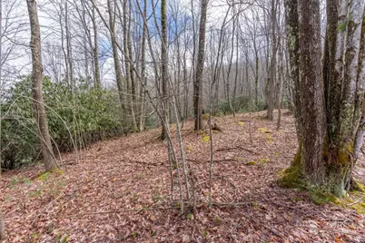 107 Chicory Lane, Beech Mountain, NC 28604 - Photo 12