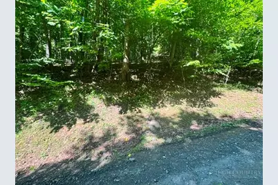 Tbd Town View Street, West Jefferson, NC 28694 - Photo 8