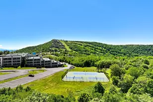 301 Pinnacle Inn Rd, Beech Mountain, NC 28604 - Photo 24