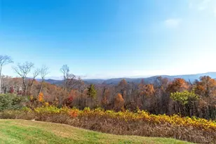 171 Falcon Trace, Boone, NC 28607 - Photo 16