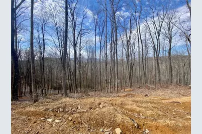 Tbd Old Chestnut Mountain Road, Newland, NC 28657 - Photo 2