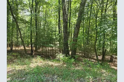 Lot 51 Toms Knob Road #1  51, Sparta, NC 28675 - Photo 2