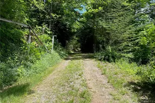 3065 Elk Park Hwy, Newland, NC 28657 - Photo 44