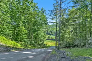 324 Hidden Spring Rd, West Jefferson, NC 28694 - Photo 6
