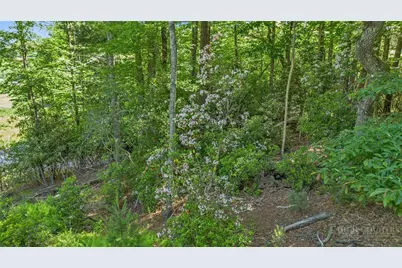 324 Hidden Spring Road, West Jefferson, NC 28694 - Photo 42
