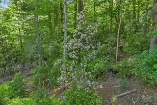 324 Hidden Spring Rd, West Jefferson, NC 28694 - Photo 40