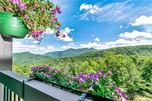 164 Ridgeline Dr, Sugar Mountain, NC 28604 - Photo 38
