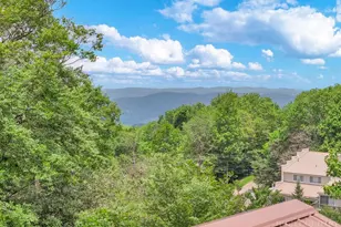 106 Kick Turn Ln, Beech Mountain, NC 28604 - Photo 4