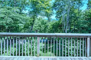 128 Wild Daisy Ln, Beech Mountain, NC 28604 - Photo 36