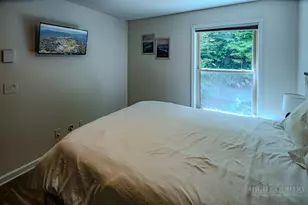 128 Wild Daisy Ln, Beech Mountain, NC 28604 - Photo 22