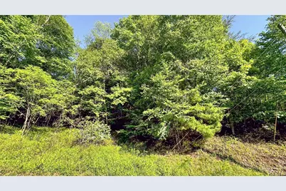 Tbd-13 Peck Peak Road, Jefferson, NC 28640 - Photo 4