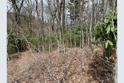 Lots 1, 3 & 5 Cora's Path, Blowing Rock, NC 28605 - Photo 8