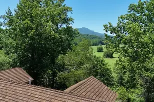 180 Sugar Maple Ln, Boone, NC 28607 - Photo 38