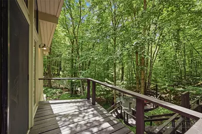 179 Hornbeam Road, Beech Mountain, NC 28604 - Photo 40