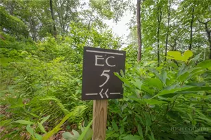Lot Ec-5 Eagle Crest Trail, Elk Park, NC 28622 - Photo 1