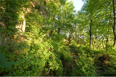 Lot Ec-5 Eagle Crest Trail, Elk Park, NC 28622 - Photo 30