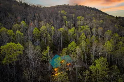 163 Bear Track Lane, Vilas, NC 28692 - Photo 2