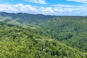 3947 Blackberry Crest Ln, Lenoir, NC 28645 - Photo 48