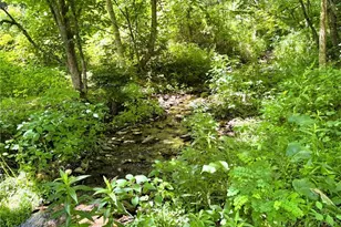 10221 Nc Hwy 105 S, Banner Elk, NC 28604 - Photo 30