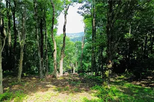 Tbd Mountain Song Rd, Blowing Rock, NC 28605 - Photo 1
