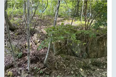 Lot 22 Woodland Circle, Jefferson, NC 28640 - Photo 8