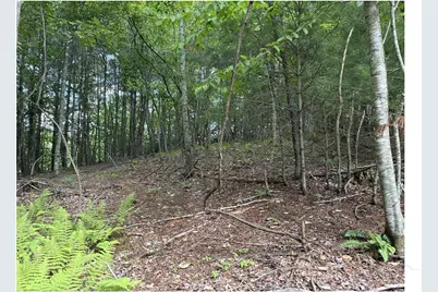Lot 22 Woodland Circle, Jefferson, NC 28640 - Photo 4