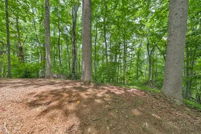 B & C Lost Branch Trail, Vilas, NC 28692 - Photo 18