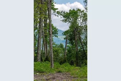 Lot 36 Summit Park Drive, Banner Elk, NC 28604 - Photo 26